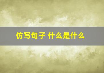 仿写句子 什么是什么